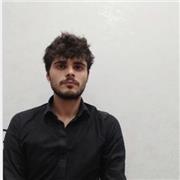Tutor di Informatica e Logica – Laureando in Informatica per studenti delle superiori