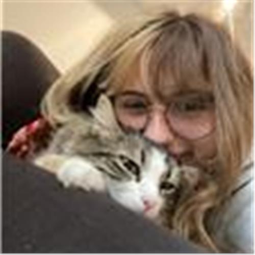 user photo
