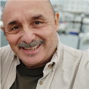 Profesor de Español e inglés on line ofrece clases convesacionales y activas.