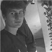 Profesor de primaria apto para cualquier tipo de materia