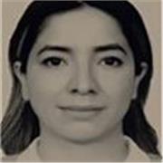 Docente de nivel secundaria, media superior y superior en el área de matemáticas