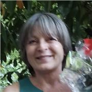 Docente in pensione offre lezioni di latino