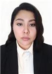 Profesor de Filosofía y otras ramas afines