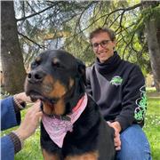 Studente magistrale in Fisica Applicata offre ripetizioni di Matematica e Fisica