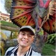 Soy docente en educación física recreación y deportes en proceso de grado, tengo buenas bases de inglés, sociales y tecnología