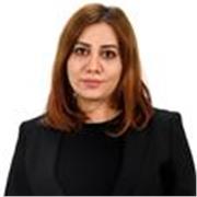 Erfahrener Englischlehrer bietet maßgeschneiderten Online- & Präsenzunterricht für Ihren Lernerfolg! (Experienced English Teacher