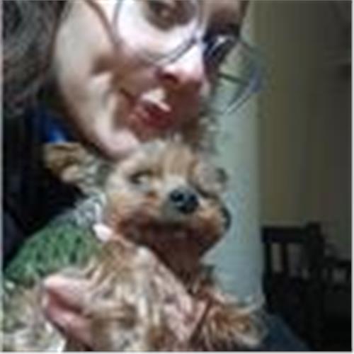 user photo