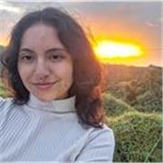 Profesor online de matematicas para estudiantes de primaria y secundaria