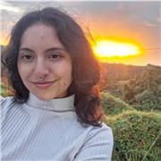 Profesor online de matematicas para estudiantes de primaria y secundaria