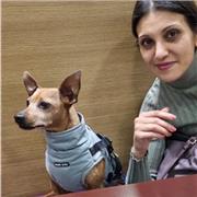 Laureata in biologia impartisce lezione di chimica, fisica, matematica ecc