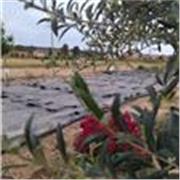 Ingeniera agrónoma, con tardes libres y amante de los niños, me apasionan las ciencias experimentales, y jugar con los números. Te apuntas!?