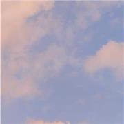 Diplomata, aiuto in matematica, inglese, francese e italiano