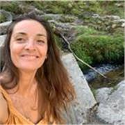 Je donne des cours particuliers en anglais pour adultes, remise à niveau ou enfants et adolescents