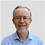 PROFESOR NATIVO OFRECE CLASES DE INGLÉS POR ZOOM, GOOGLE, TEAMS ETC