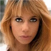 Profesora de apoyo en lengua castellana, historia y matemáticas de primaria