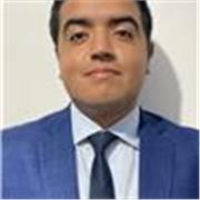 Profesor de clases en línea para dominar el español