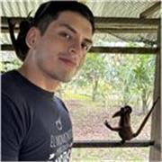 Profesor particular online con enfoque práctico y motivador