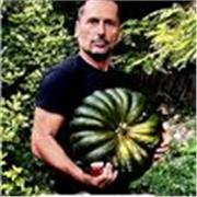 Disponibile per lezioni interattive, saranno incontri basati su esempi reali e pratici