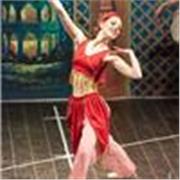 Insegnante e direttrice di una scuola di danza decennale impartisco lezioni private di pilates, floor barre, danza classica e danza moderna