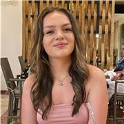 I’m a college student with a genuine interest in english literature, my lessons would aimed at GCSE english literature students