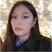 Maestro de clases particulares de español en línea