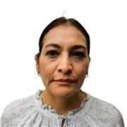 Clases de inglés adaptadas para cada etapa: desde la estimulación temprana (3 años) hasta el refuerzo académico para adolescentes