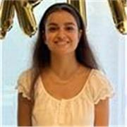 Professeur particulier donne des cours d'anglais (en présentiel ou en ligne)