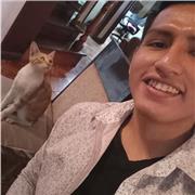 Profesor de Matemáticas (Resolucion de ejercicios) y Excel Online