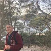 Profesor de inglés para cualquier nivel con alta habilidad conversacional y teorica