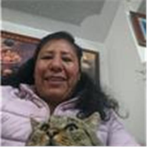 user photo