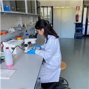 Impartisco lezioni di Biologia e Scienze a studenti delle superiori, e Biologia e Genetica a studenti Universitari. 20-25€/h