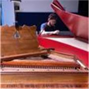 Especialista en adultos con formación profesional en México y Europa imparte clases de piano y clavecín