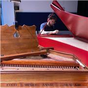 Especialista en adultos con formación profesional en México y Europa imparte clases de piano y clavecín