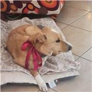 Offro lezioni private a primaria e secondaria nelle materie scientifiche