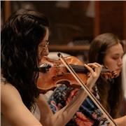 Clases particulares de violín y lenguaje musical para TODO el mundo!