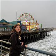 Offro ripetizioni online e in presenza per scuole elementari, medie e superiori.