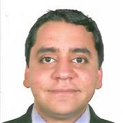 Profesor de Inglés, Física y Matemáticas