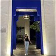 I’m a friendly and supportive English and math teacher. I would love to help you with your material.