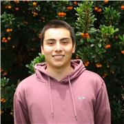 Profesor de Apoyo Escolar, clases online