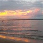 Profesora nativa de Estados Unidos clases personalizadas adaptada a la me de cada alumno