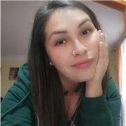 Dicto apoyo pedagógico en materias de 1 a 5 básico