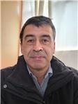 Profesor de lenguaje, basta experiencia en distintos niveles: básica, media, universitaria, adulto.