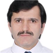 Professor of English