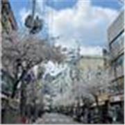 Cours de Coréen en ligne (Début à Avancé) - PROGRAMME YONSEI UNIVERSITY