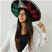 Especialista en la enseñanza de Español y Cultura Mexicana, 