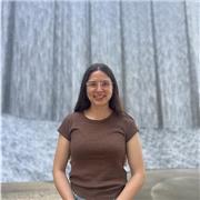 Apoyo escolar en diferentes materias a nivel primaria, 100% en línea