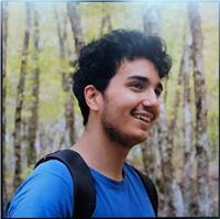 Laureando in ingegneria elettronica che offre lezioni di matematica, algebra e alcuni concetti di fisica