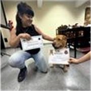 Soy Sol instructora canina con orientación en problemas comportamentales. Entreno en domicilio del tutor, con previa entrevista