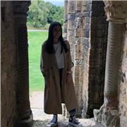 Imparto clases particulares de inglés para estudiantes de primaria, E.S.O. y/o bachillerato