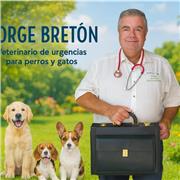 Soy profesor de instituto de FP y soy Veterinario , puedo dar clases de apoyo se materias relacionadas con las ciencias